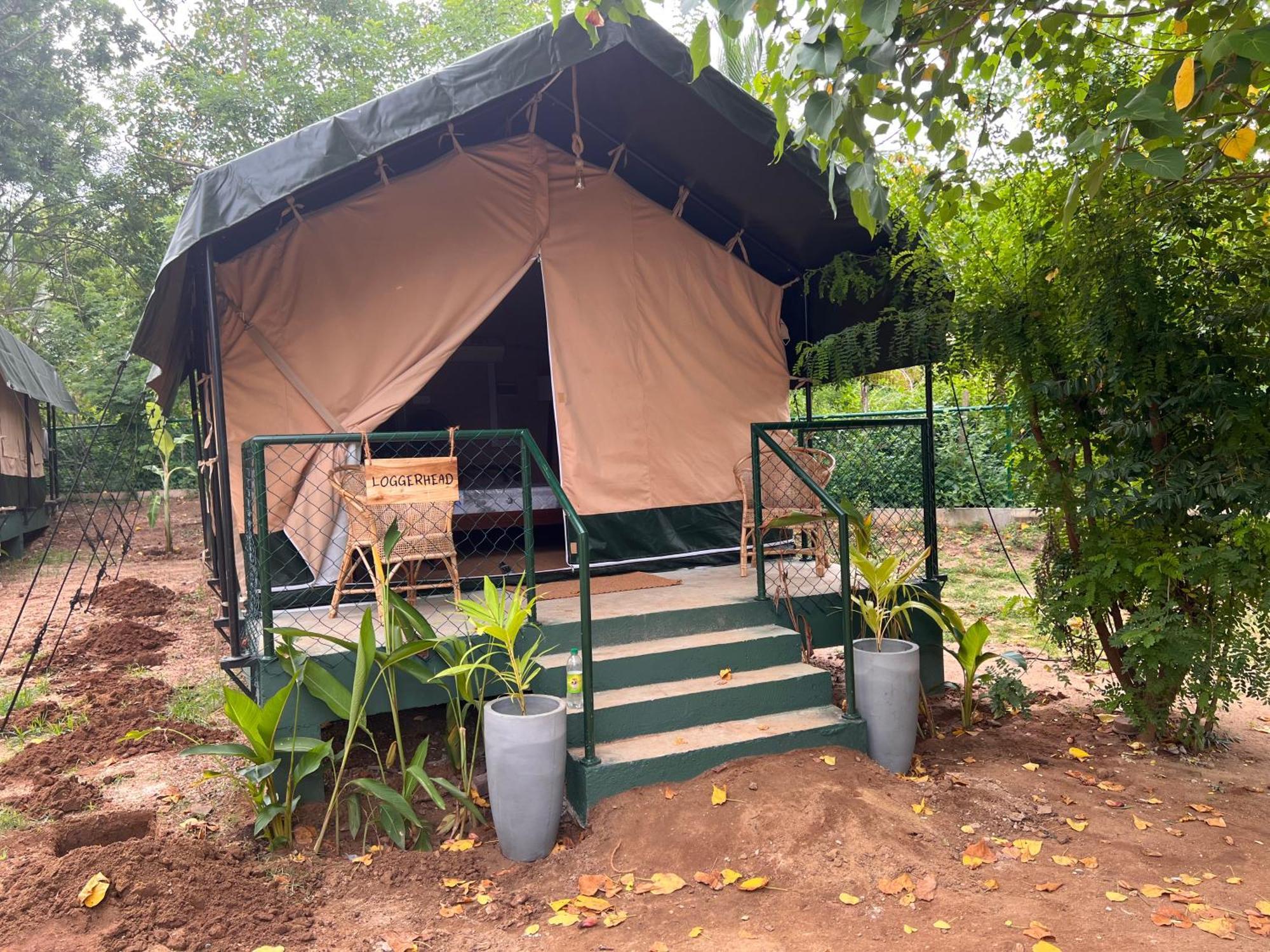 فندق At One - Glamping Rekawa المظهر الخارجي الصورة