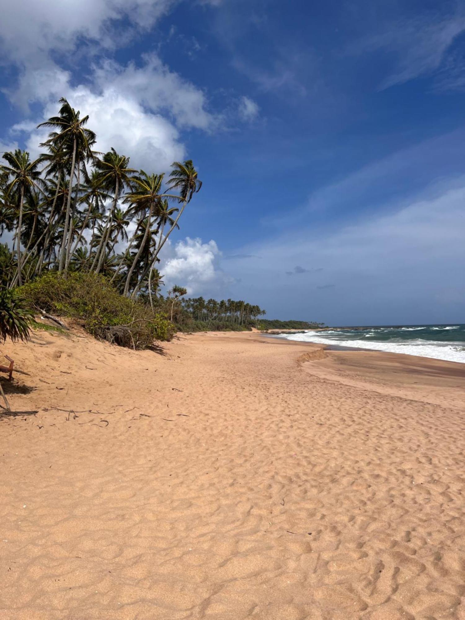 فندق At One - Glamping Rekawa المظهر الخارجي الصورة