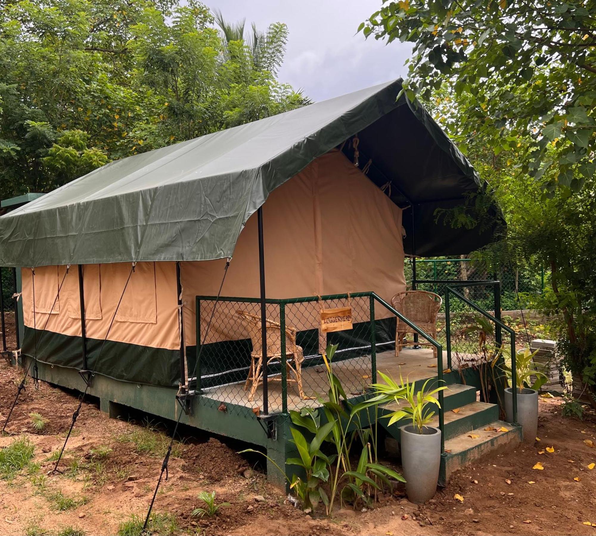 فندق At One - Glamping Rekawa المظهر الخارجي الصورة