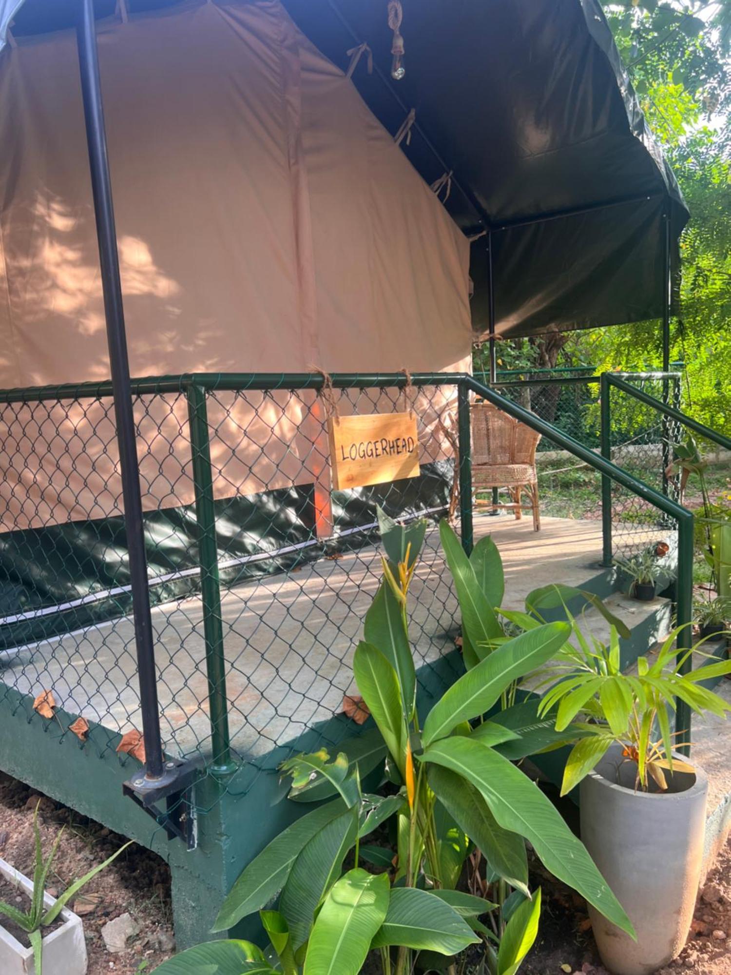 فندق At One - Glamping Rekawa المظهر الخارجي الصورة