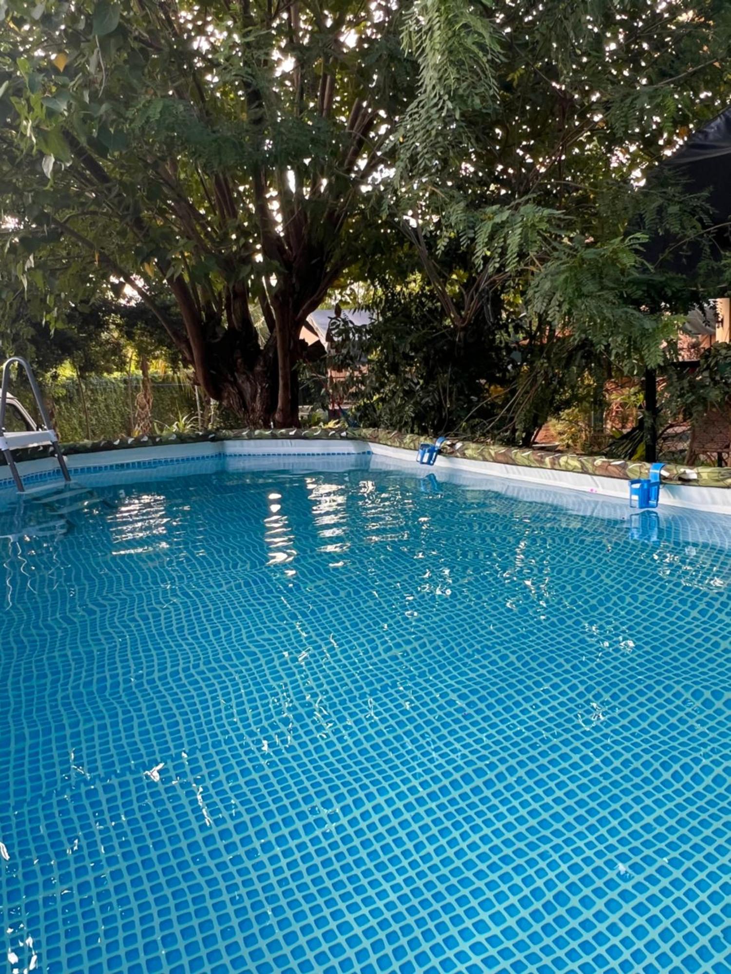 فندق At One - Glamping Rekawa المظهر الخارجي الصورة